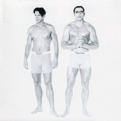 Plagiarism album by Sparks
