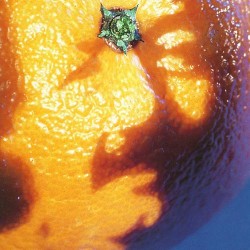 A Picture of Nectar album by Phish
