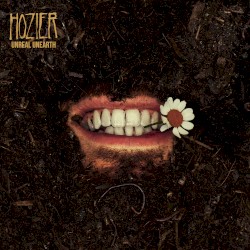 Unreal Unearth album by Hozier