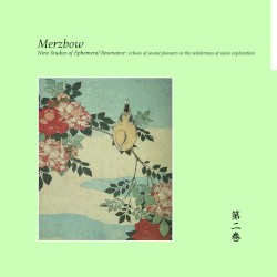 Nine Studies of Ephemeral Resonance Volume 2 album by Merzbow
