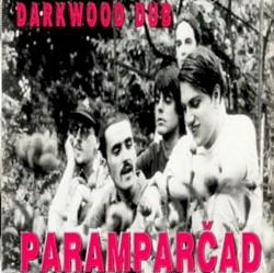 Paramparčad album by Darkwood Dub