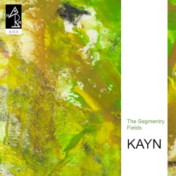 The Segmentry Fields album by Roland Kayn