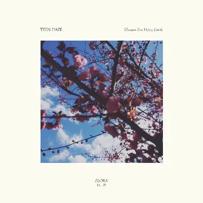 Themes for Dying Earth album by Teen Daze