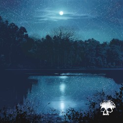 Do You Still Love Me? album by Planes Mistaken for Stars