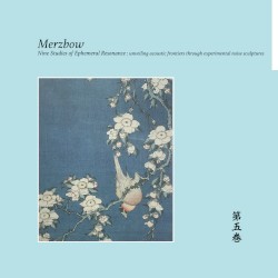 Nine Studies of Ephemeral Resonance Volume 5 album by Merzbow