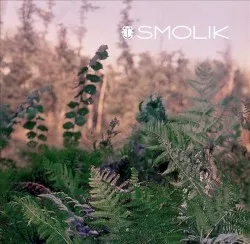 Smolik 2 album by Andrzej Smolik