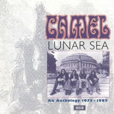 Lunar Sea