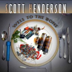 Well to the Bone album by Scott Henderson