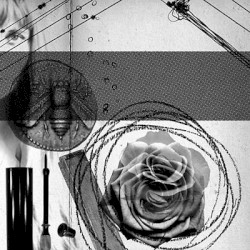 Elemental Part Three: Rose album by Demdike Stare