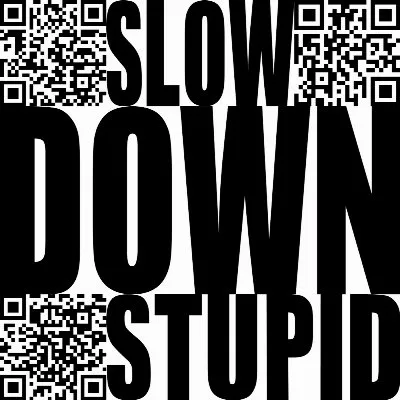 Slow Down Stupid album by Bogdan Raczynski