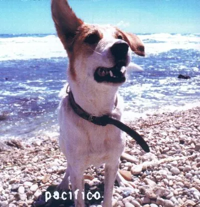 Pacifico album by Pacifico