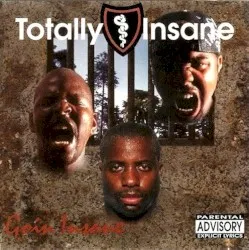 Goin' Insane album by Totally Insane