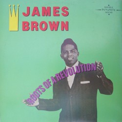 Roots of a Revolution album by James Brown