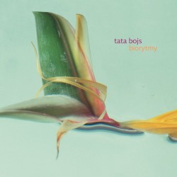 Biorytmy album by Tata Bojs