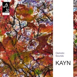 Osmotic Sounds album by Roland Kayn