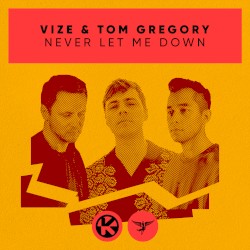 Never Let Me Down album by Vize