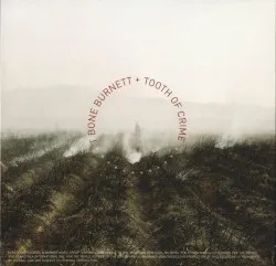 Tooth of Crime album by T Bone Burnett