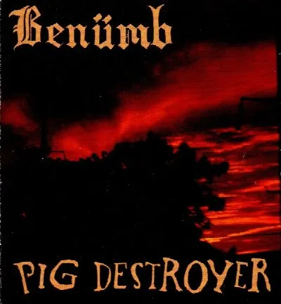 Benümb / Pig Destroyer