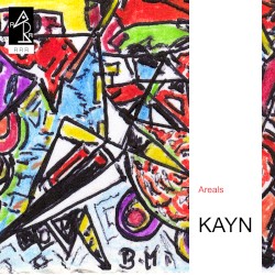 Areals album by Roland Kayn
