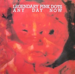 Any Day Now album by The Legendary Pink Dots