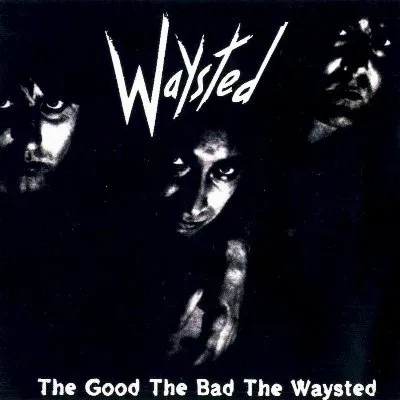 The Good the Bad the Waysted