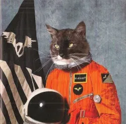 Surfing the Void