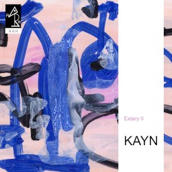 Extary II album by Roland Kayn