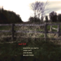 Red Hill album by Jamie Saft