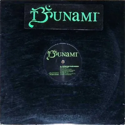 Tsunami Sampler 2 album by Infected Mushroom