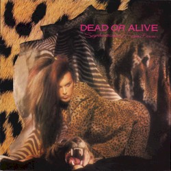 Sophisticated Boom Boom album by Dead or Alive