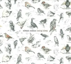 Losing Sleep album by Edwyn Collins