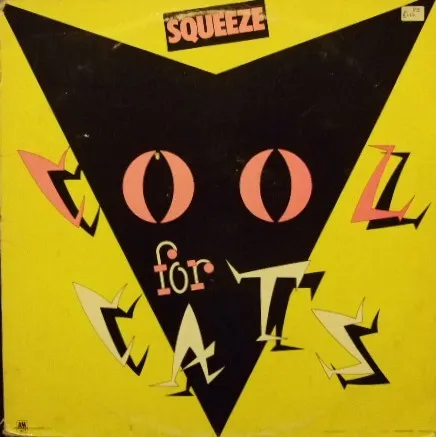 Cool for Cats