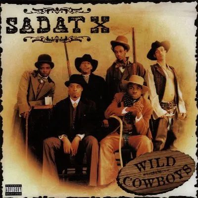 Wild Cowboys