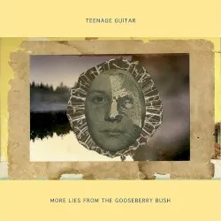 More Lies From The Gooseberry Bush album by Robert Pollard