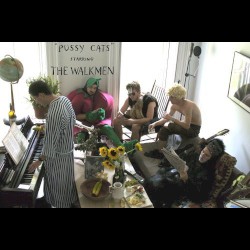 "Pussy Cats" Starring the Walkmen album by The Walkmen