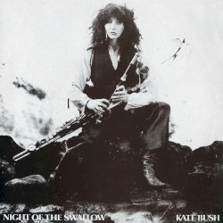 Night of the Swallow / Houdini album by Kate Bush