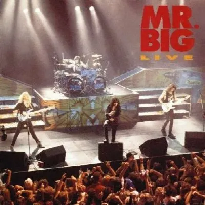 Mr. Big Live