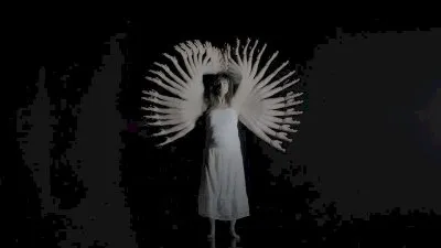 L'anima vola (song)