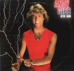 After Dark album by Andy Gibb