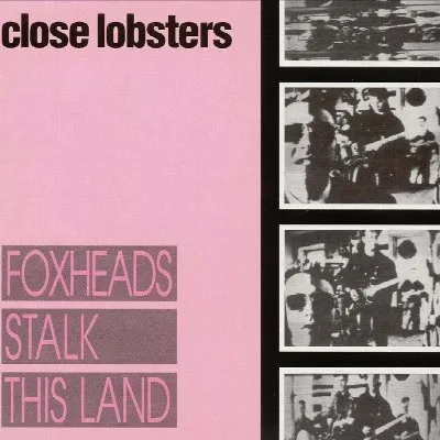 Foxheads Stalk This Land