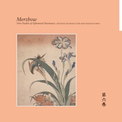 Nine Studies of Ephemeral Resonance Volume 6 album by Merzbow