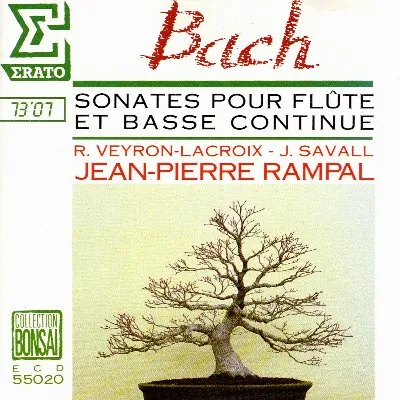 Sonates pour flûte et basse continue