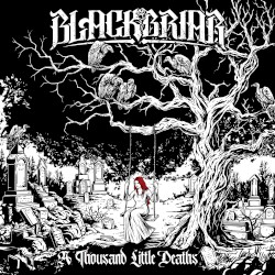 A Thousand Little Deaths album by Blackbriar
