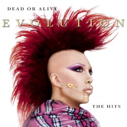 Evolution: The Hits album by Dead or Alive