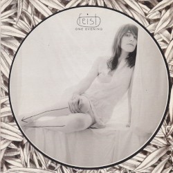 One Evening album by Feist