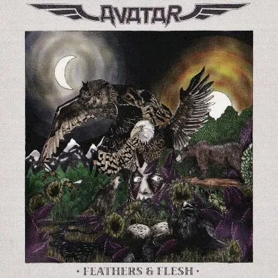 Feathers & Flesh