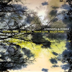 Strength & Power album by Jamie Saft