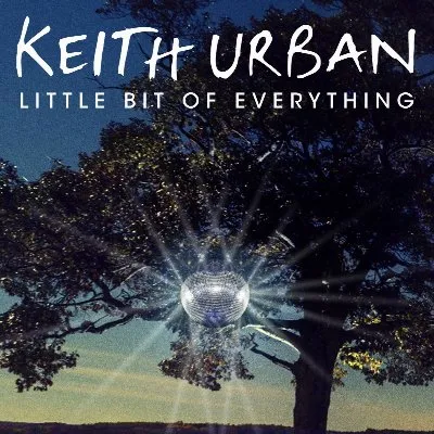 Little Bit of Everything (song)