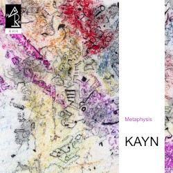 Metaphysis album by Roland Kayn